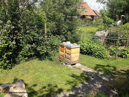 Bienenschwarm03