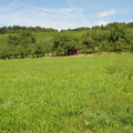 IMG 8037
