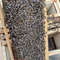 IMG 20230408 180154