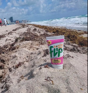 Honigflip in Miami 